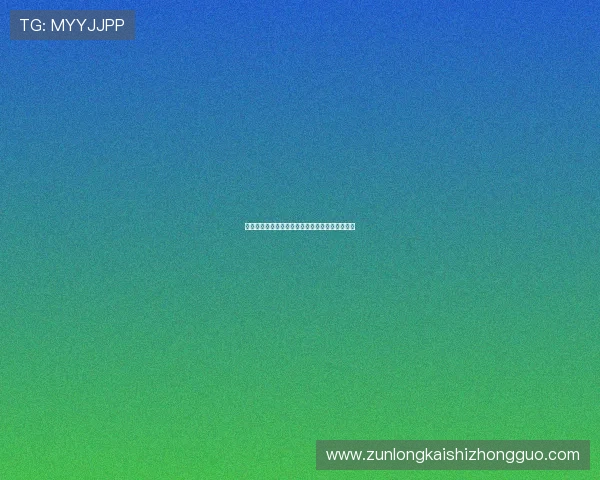 尊龙网页：最新版本功能更新与用户界面优化详解
